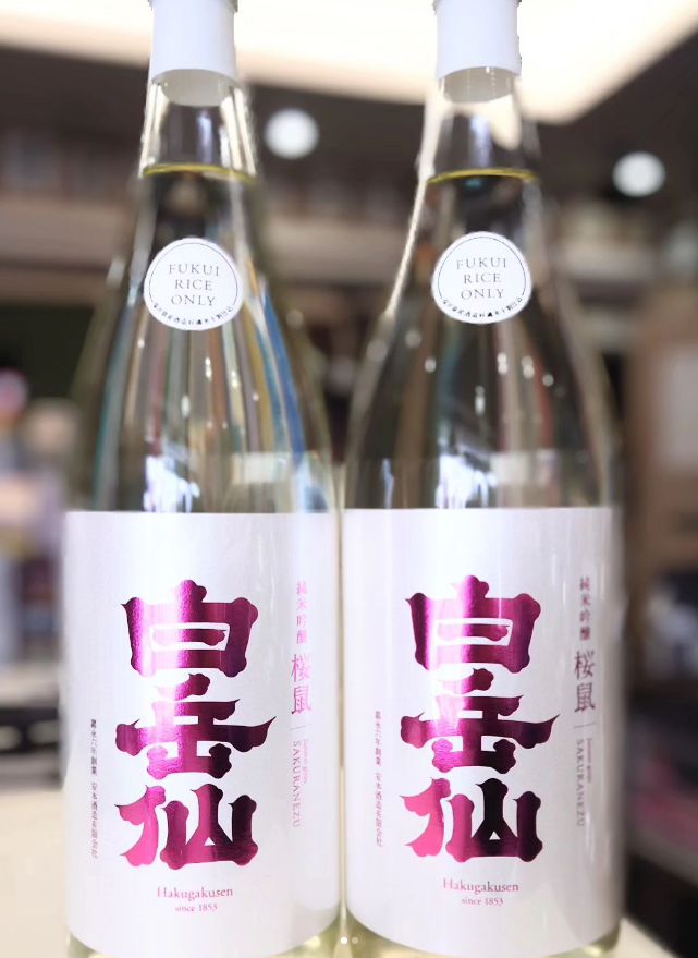 春の訪れ　白岳仙「桜鼠」入荷しました！